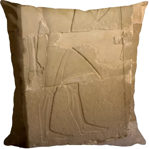 Mastaba of Nefer and Kahay. Relief. Male figure standing wit
