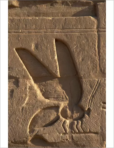 Egyptian Art. Relief depicting a bee, symbol of Lower Egypt