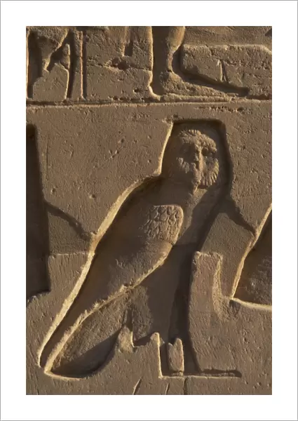 Egyptian Art. Relief depicting an owl. Karnak
