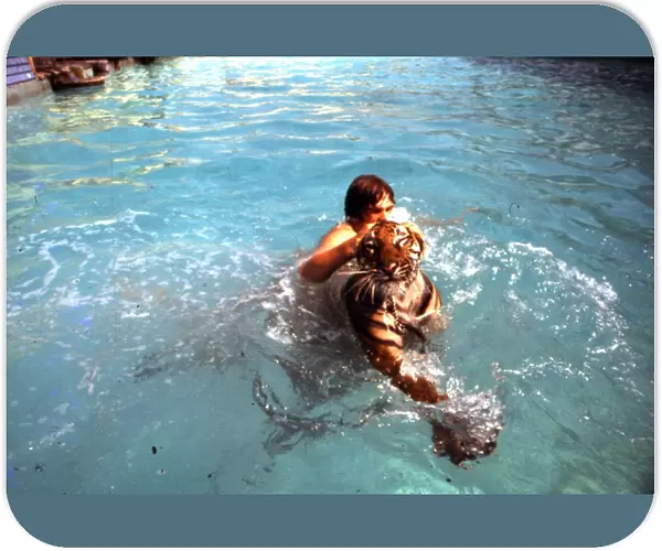 Man swimming with tiger