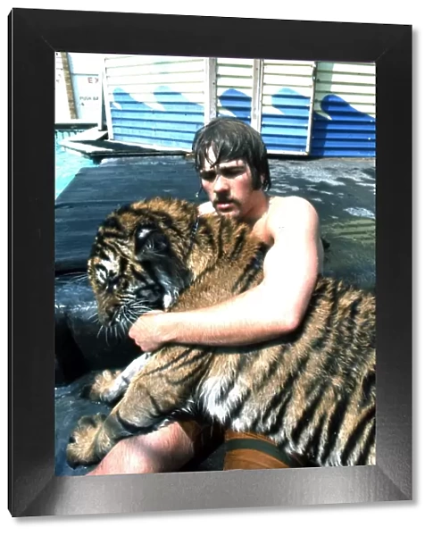 Man and tiger by swimming pool