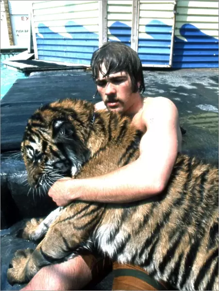 Man and tiger by swimming pool