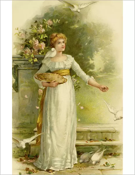Girl feeding white doves