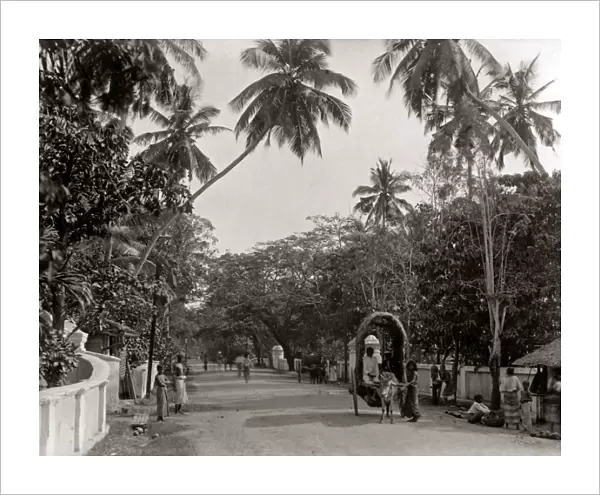 Street scene, Ceylon, Sri Lanka, circa 1890