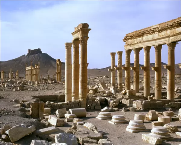 Palmyra, Syria - The Colonnade with view of Arab Castle