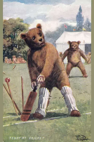 Teddy bear playing cricket