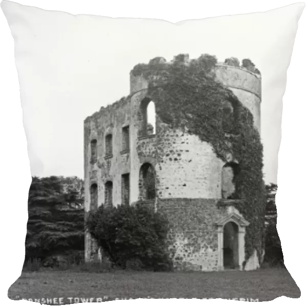 Banshee Tower, Shanes Castle, Co. Antrim
