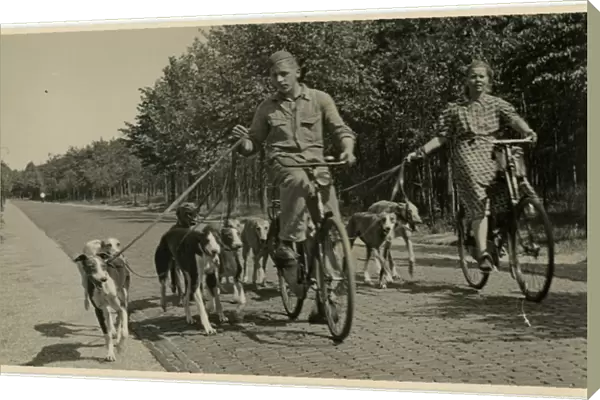 Man and woman with bicycles and greyhound dogs