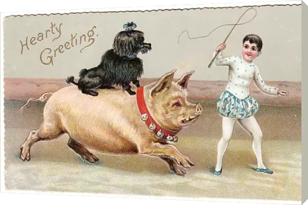 Circus pig and black poodle on a greetings card