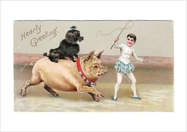 Circus pig and black poodle on a greetings card