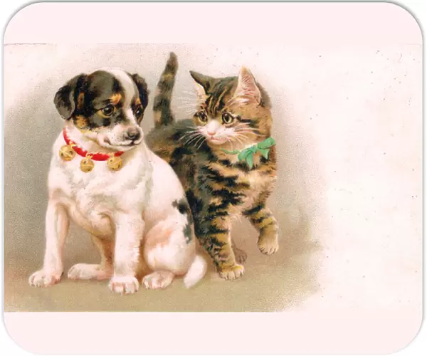 Cute puppy and kitten on a greetings postcard