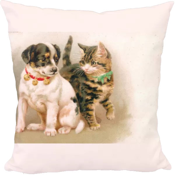 Cute puppy and kitten on a greetings postcard