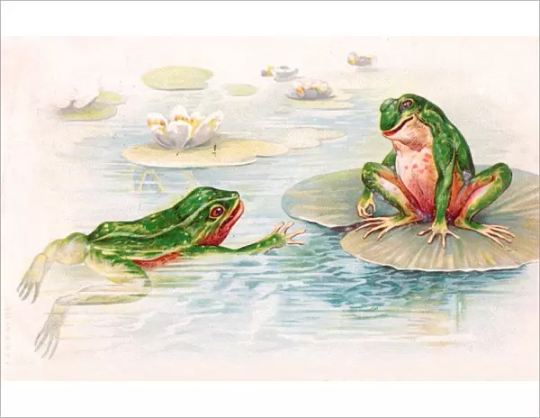 Two frogs in lily pond on a postcard