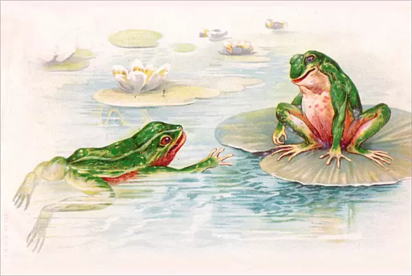 Two frogs in lily pond on a postcard