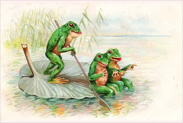 Three frogs boating on a lily leaf on a postcard