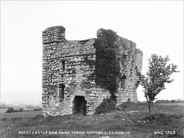 Pucks Castle and Fairy Thorn, Shankill, Co. Dublin