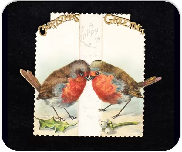 Two robins with holly and mistletoe on a Christmas card