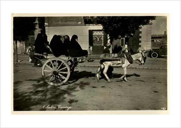 Egyptian Women travelling on a donkey cart - Cairo