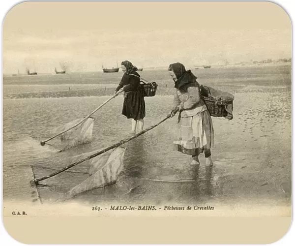 Malo-les-Bains, France - women fishing for shrimp