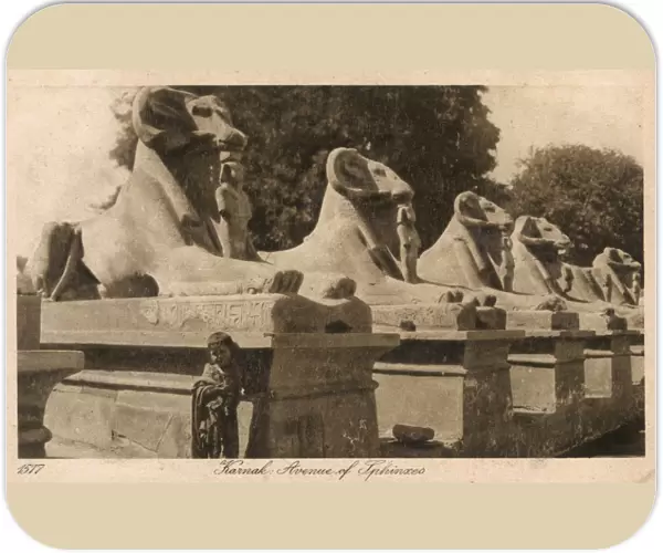 Luxor, Karnak, Egypt - Avenue of the ram-headed Sphinxes