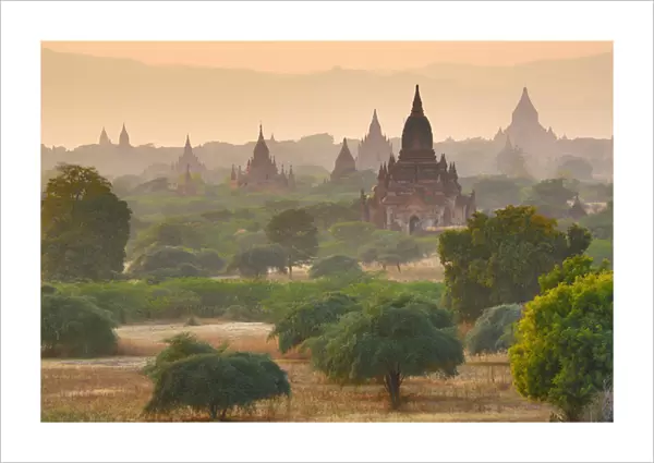 Temples and pagodas at sunset, Plain of Bagan, Myanmar