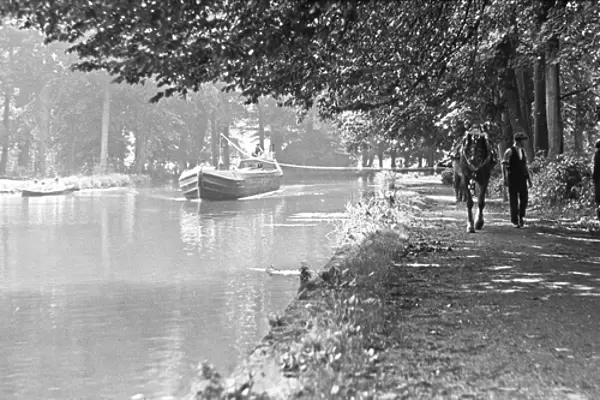 Canal boat drawn by horse