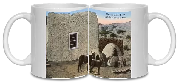 Adobe House - Mexico - Bake Ovens and Mules