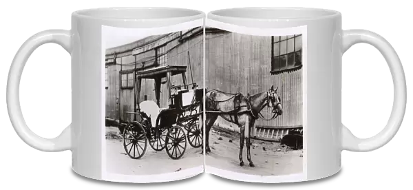 Horse-drawn hackney carriage, Gibraltar