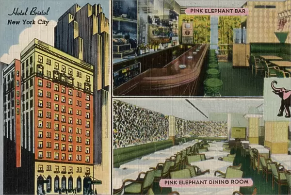 Hotel Bristol and Pink Elephant rooms in New York City, USA