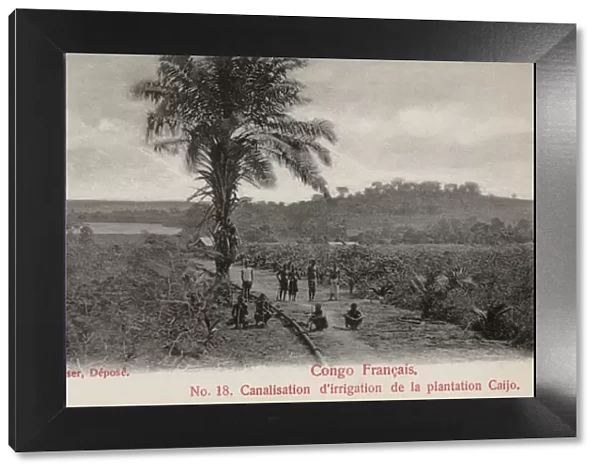 Plantation at Lake Caijo, French Congo