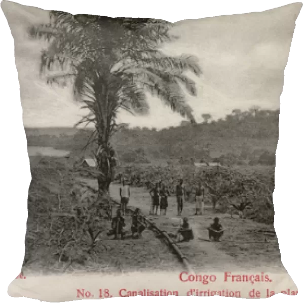 Plantation at Lake Caijo, French Congo