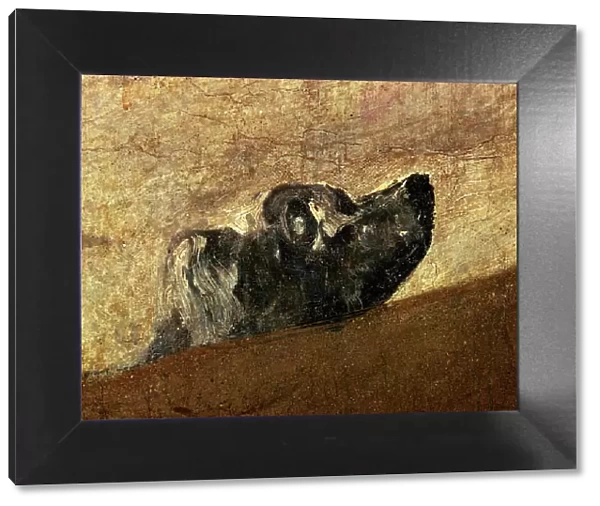 The drowning Dog, 1820-1823, by Francisco de Goya