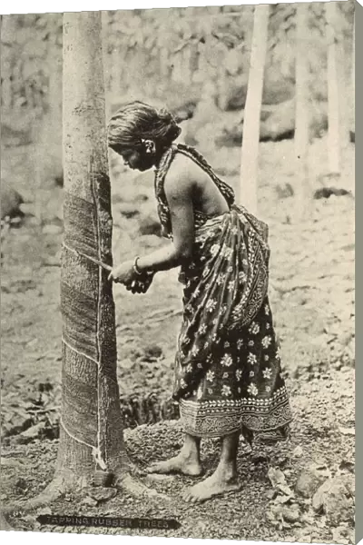Young woman tapping a rubber tree, Ceylon (Sri Lanka)