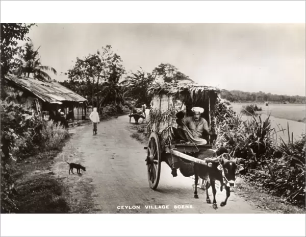 Typical village scene, Ceylon (Sri Lanka)