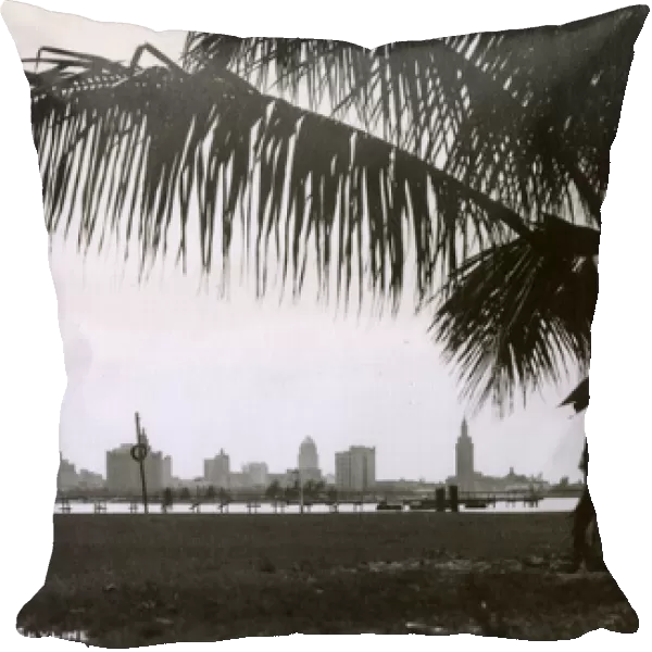 Miami skyline with palm tree, Florida, USA