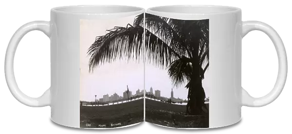 Miami skyline with palm tree, Florida, USA