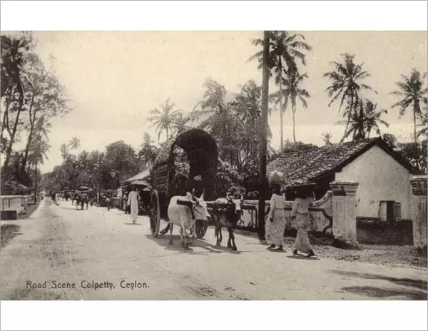 Street scene, Colpetty, Colombo, Ceylon (Sri Lanka)