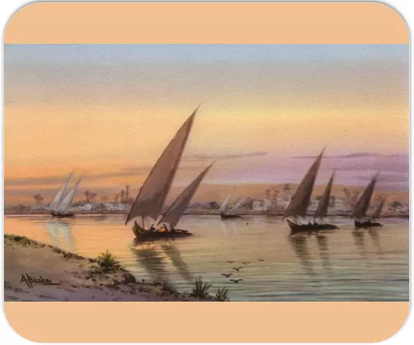 Feluccas on the River Nile, Cairo, Egypt - Evening
