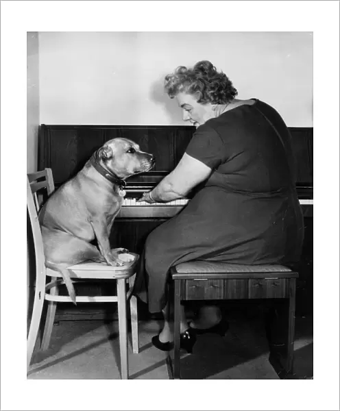 Mrs Mills, celebrity pianist, with dog