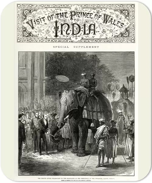 Visit of the Prince of Wales to India - elephants