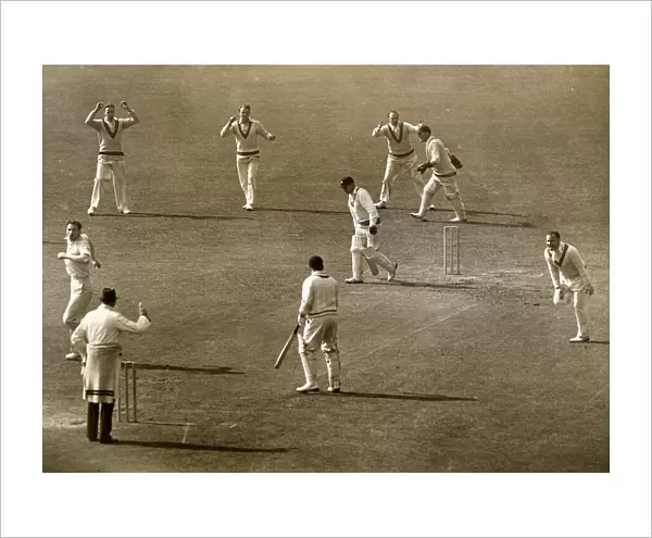 County Cricket Match in 1939 - a wicket for Gover of Surrey