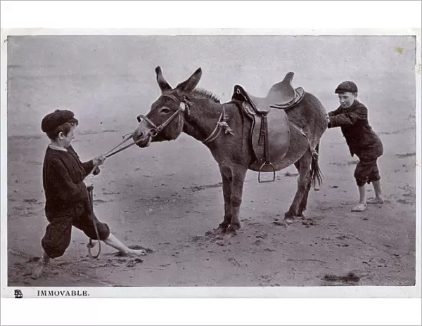 Immovable - 2 young boys fail to get a beach donkey to move