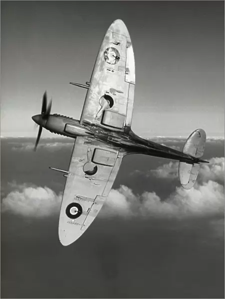 Supermarine Spitfire 8  /  VIII
