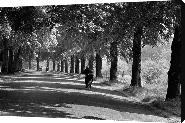 Path beside the River Severn, Quarry Park, Shrewsbury