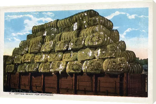 Bales of cotton, ready for shipment - USA