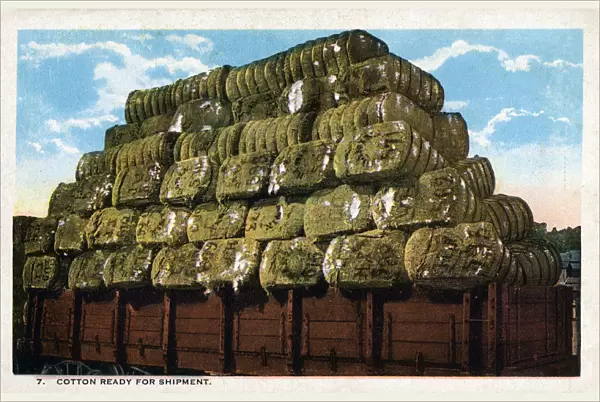 Bales of cotton, ready for shipment - USA