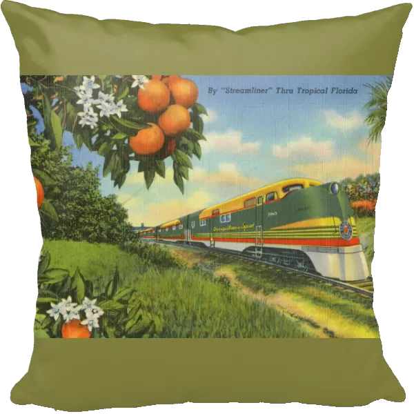 Streamliner Train passing through Florida Orange groves