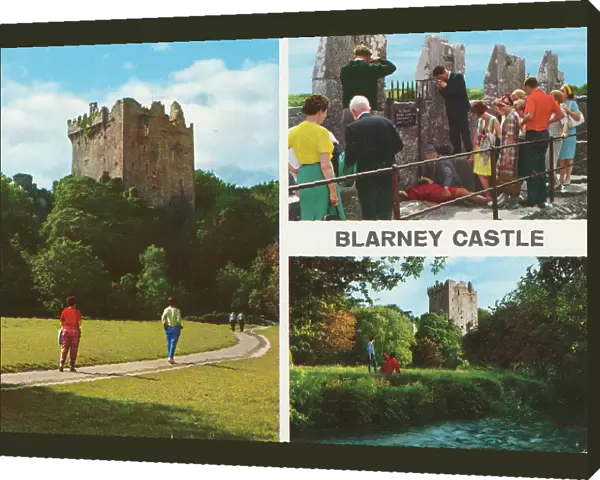 Blarney Castle, County Cork, Republic of Ireland