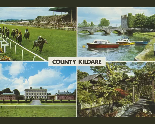 County Kildare, Multi -View (horse-racing)
