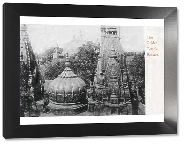 The Shri Kashi Vishwanath Temple (Golden Temple) dedicated to Lord Shiva